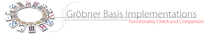 Groebner Basis Implementations. Functionality Check and Comparison